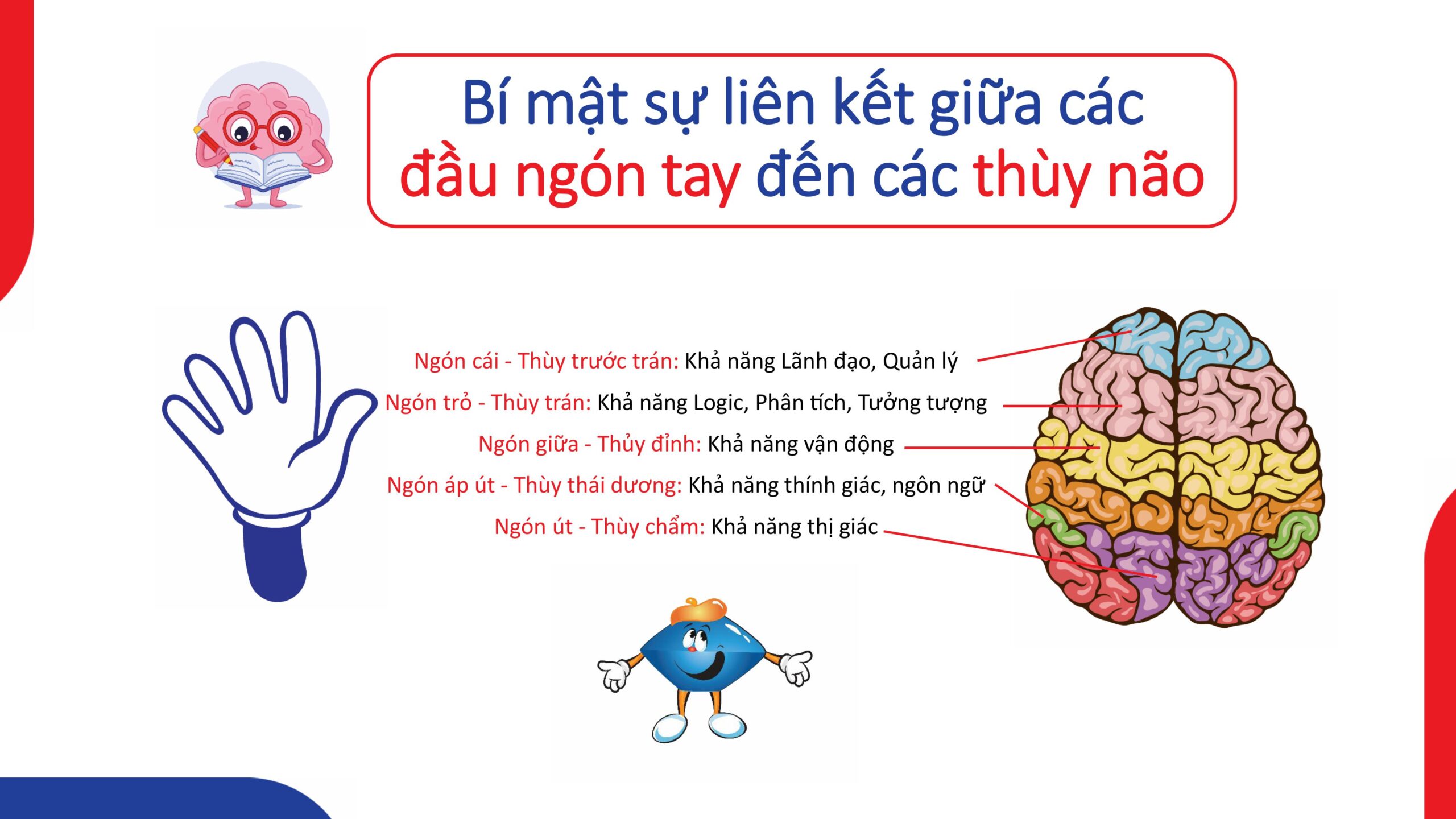 Sự thật về tác động của đôi bàn tay đến sự phát triển não bộ