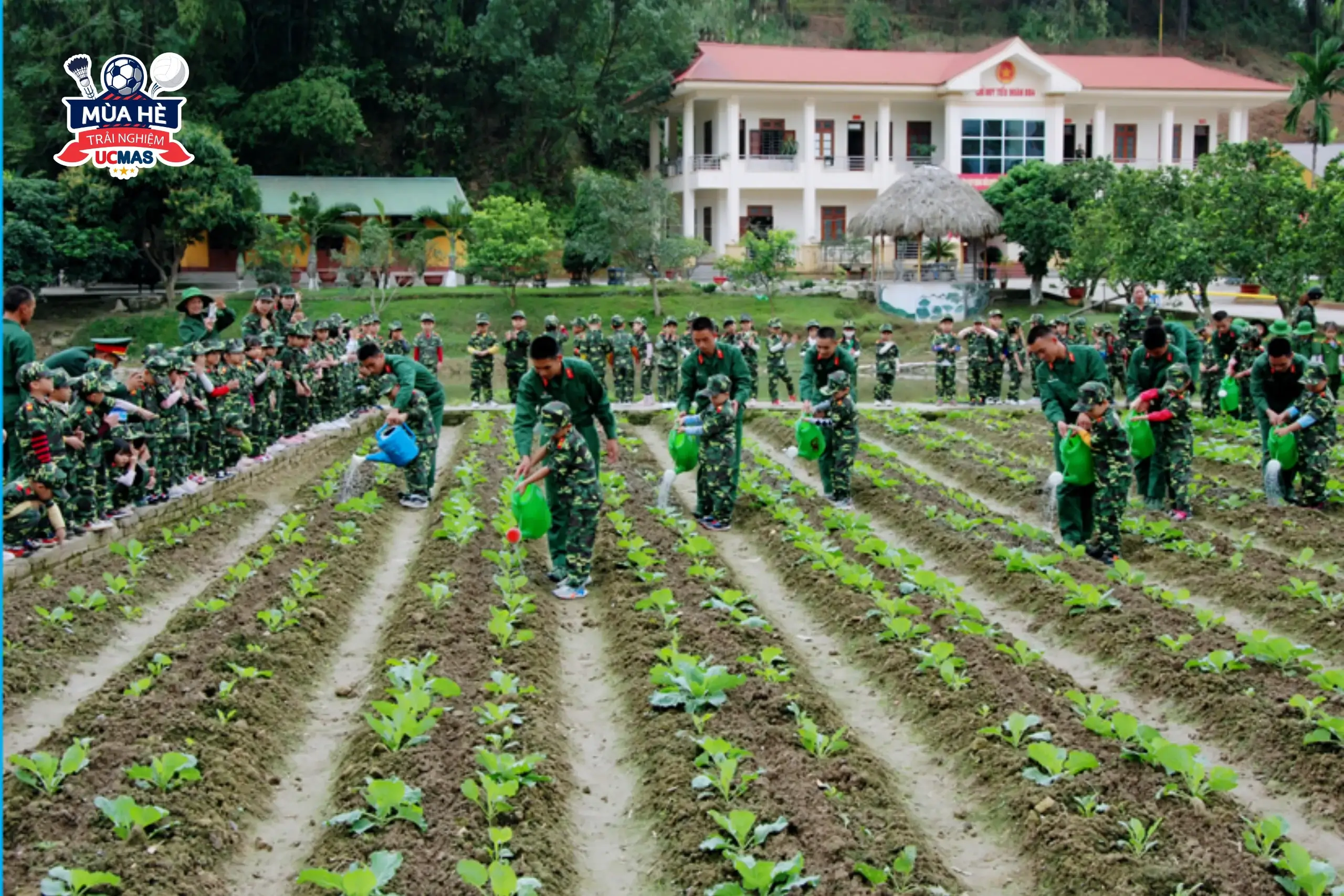 Trai he quan doi