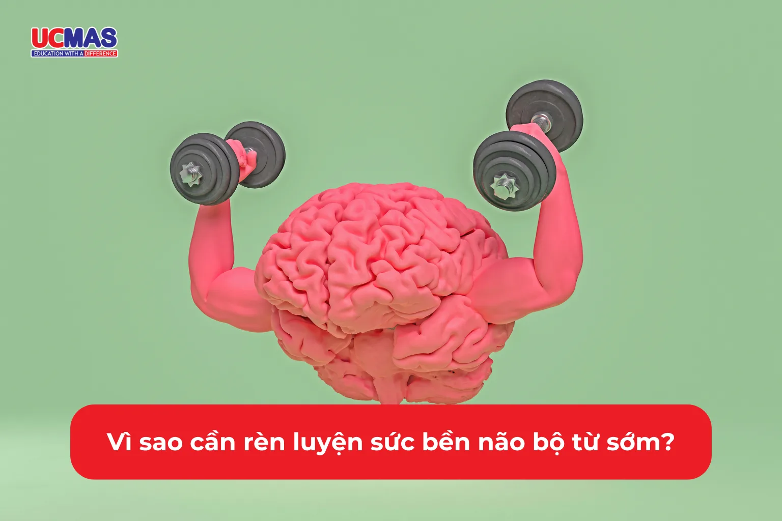 Vì sao cần rèn luyện sức bền não bộ từ sớm?