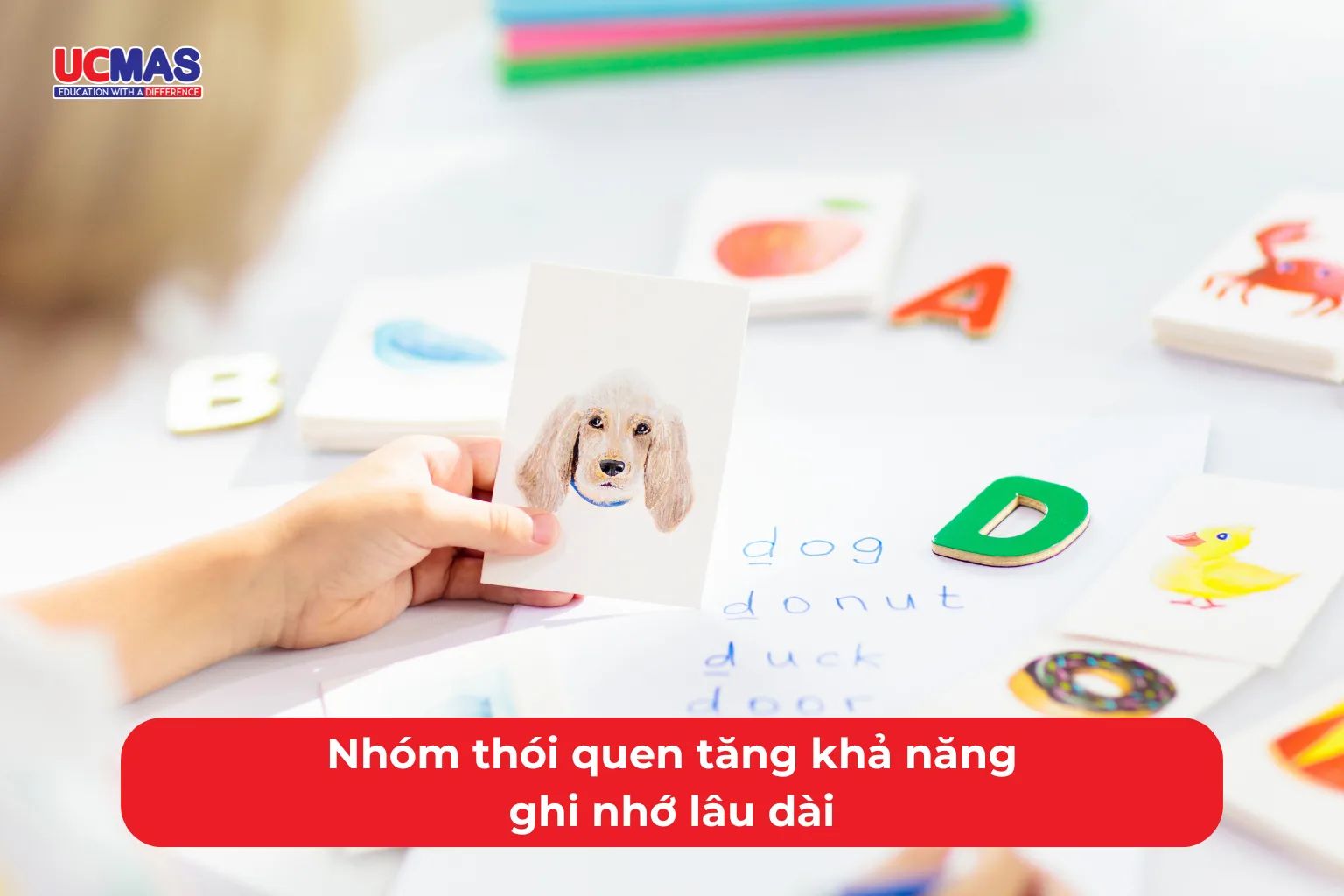 Nhóm thói quen tăng khả năng ghi nhớ lâu dài