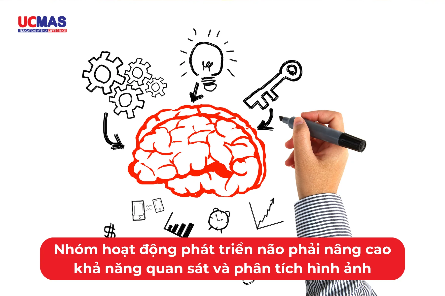 Nhóm hoạt động phát triển não phải nâng cao khả năng quan sát và phân tích hình ảnh